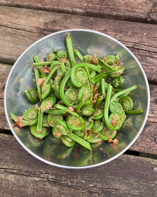 Silver bowl with foraged fiddlehead ferns placed on wooden deck
