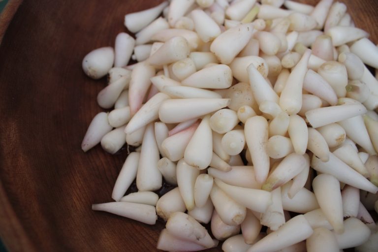 raw and peeled wild leek bulbs shown close up in dark brown wooden bowl