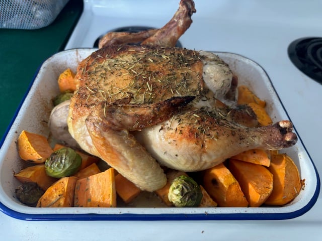 roasted broiler chicken in white enamel pan sitting on top of sweet potatoes and brussels sprouts on a stove