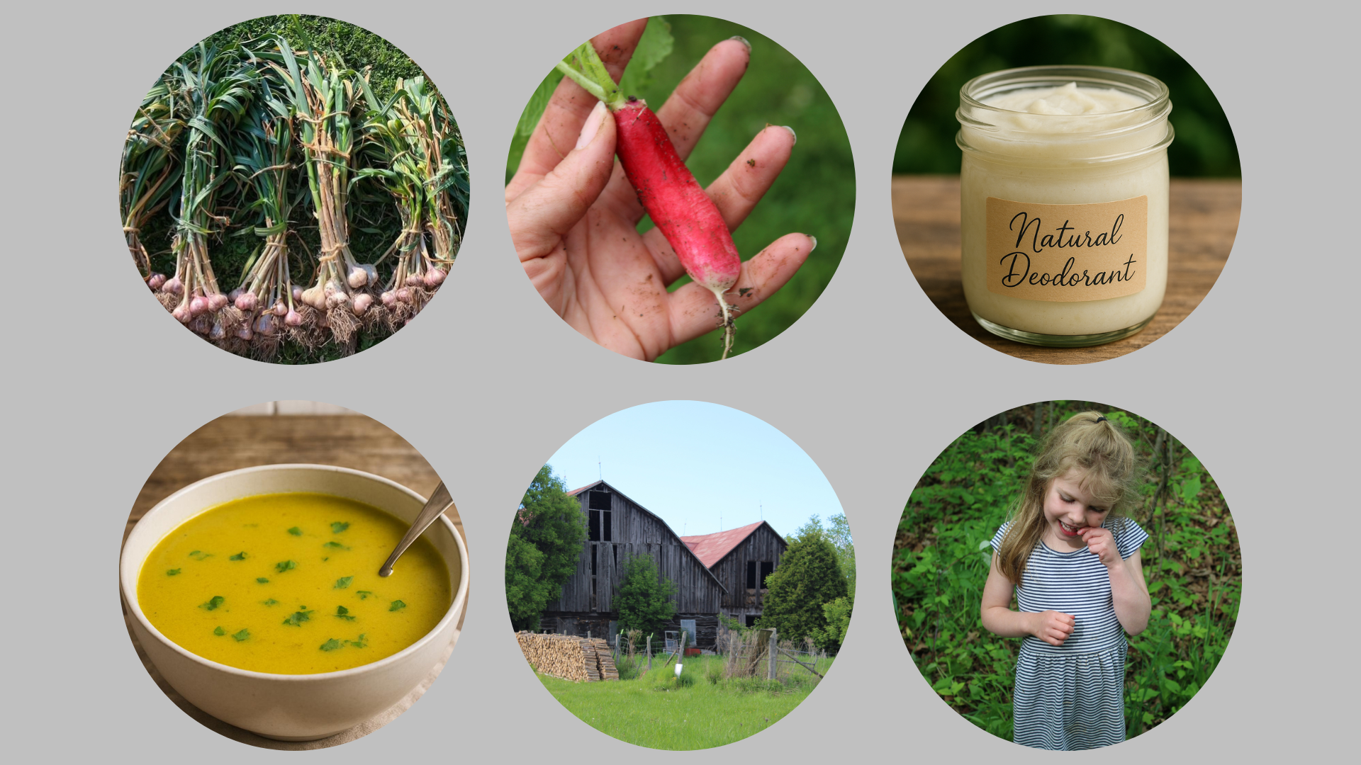 Circles with various homesteading images in them on a light grey background