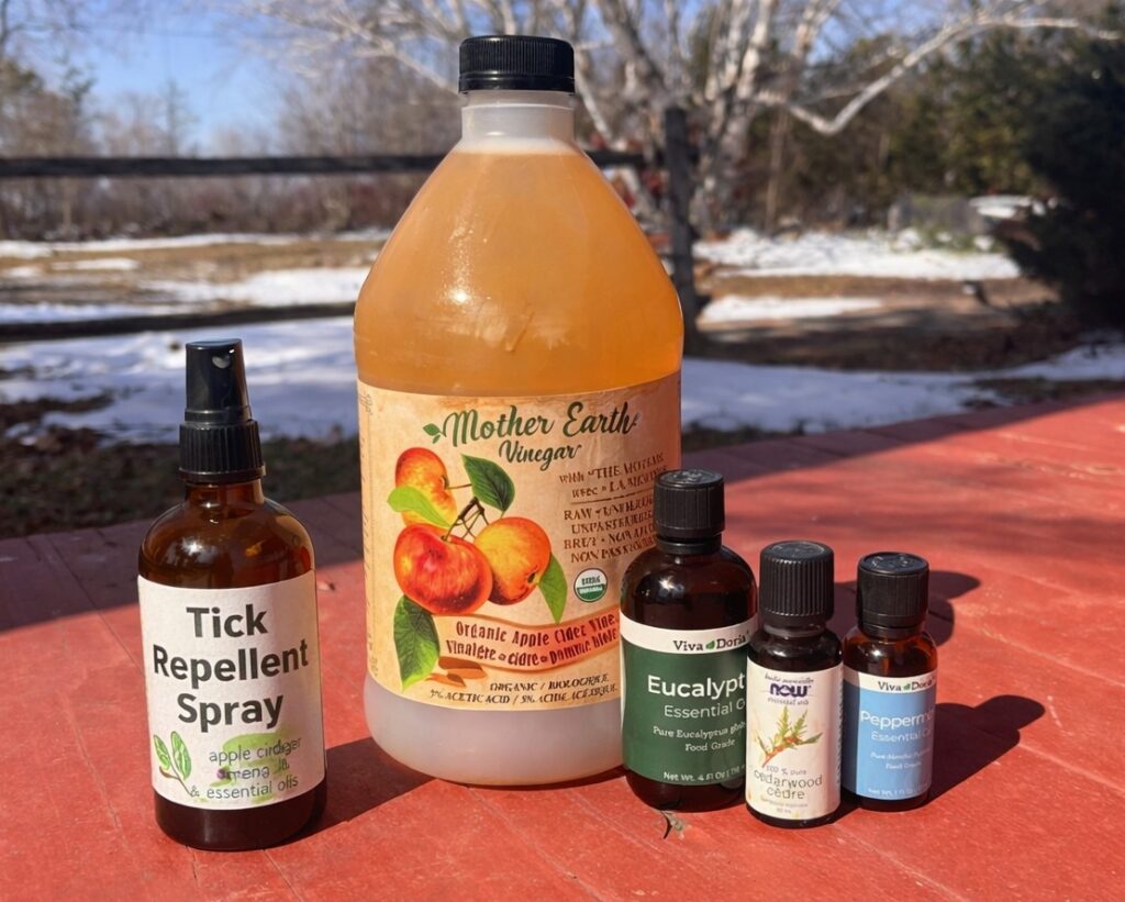 supplies to make tick repellent spray on snowy spring day