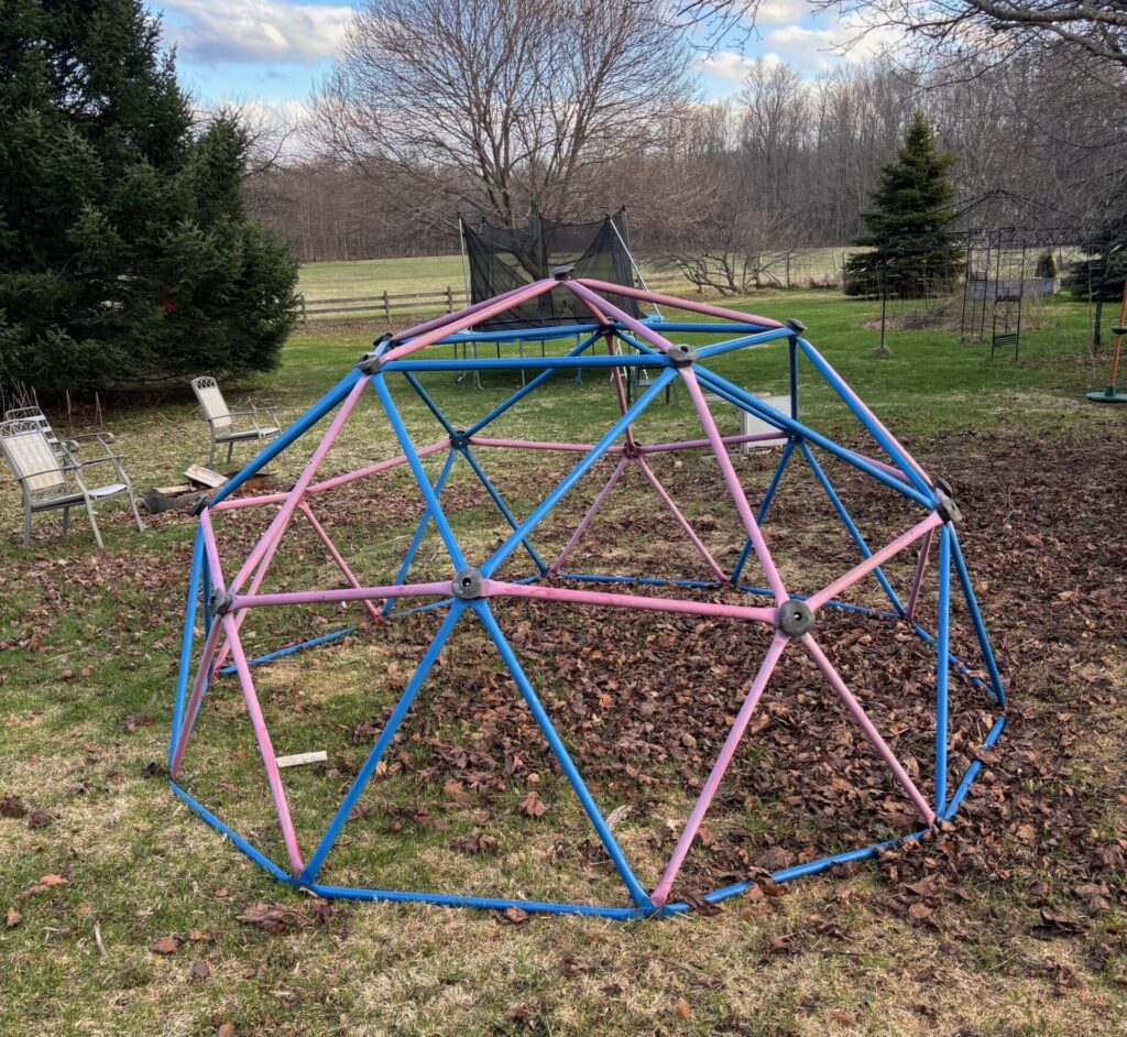 Blue and Pink Steel climber in backyard on a spring day