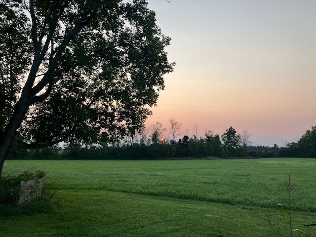 rural sunset on a summer evening