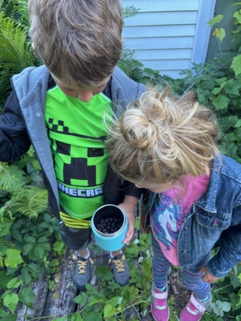 Two kids admiring their wild black raspberries haul in the backyard